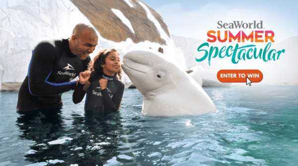 Promo SeaworldSummerSpectacular